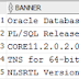 Ver la versión de una base de datos Oracle