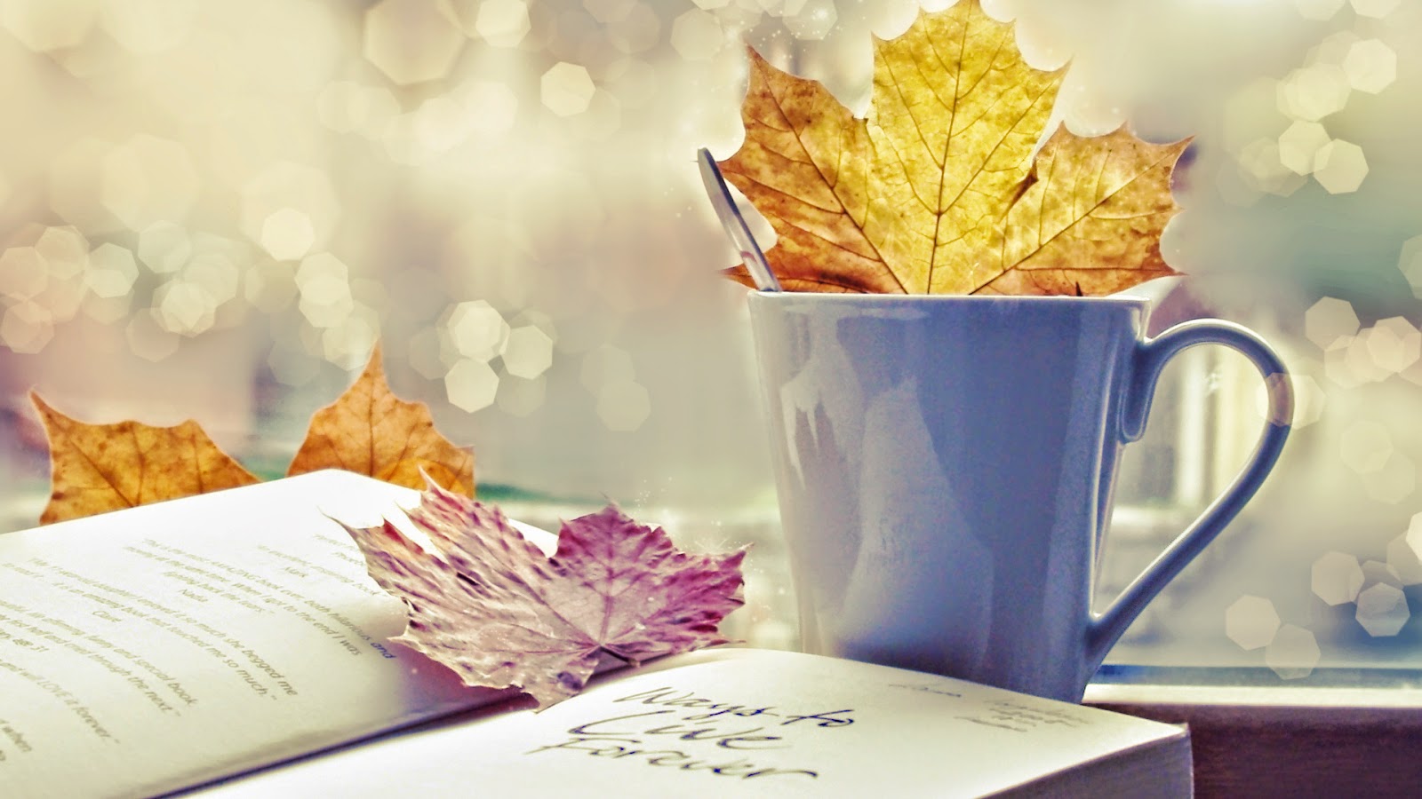 Good Morning HD Wallpaper 1080p Good Morning HD Wallpaper 1080p