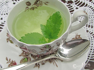 http://4.bp.blogspot.com/-q2rvvgg3nvQ/T99akSJuizI/AAAAAAAACA8/gOYVw_F5qlM/s400/Cup+of+lemon+balm+Tea.jpg