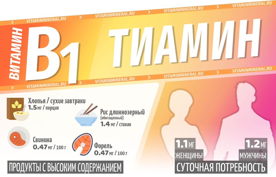 Витамин B1 для организма — инфографика