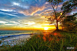 nature beach landscape water stunning landscapes famous photographer amazing etsy sunset digital listing wildlife tree kashefi kion hd magic wallpapers