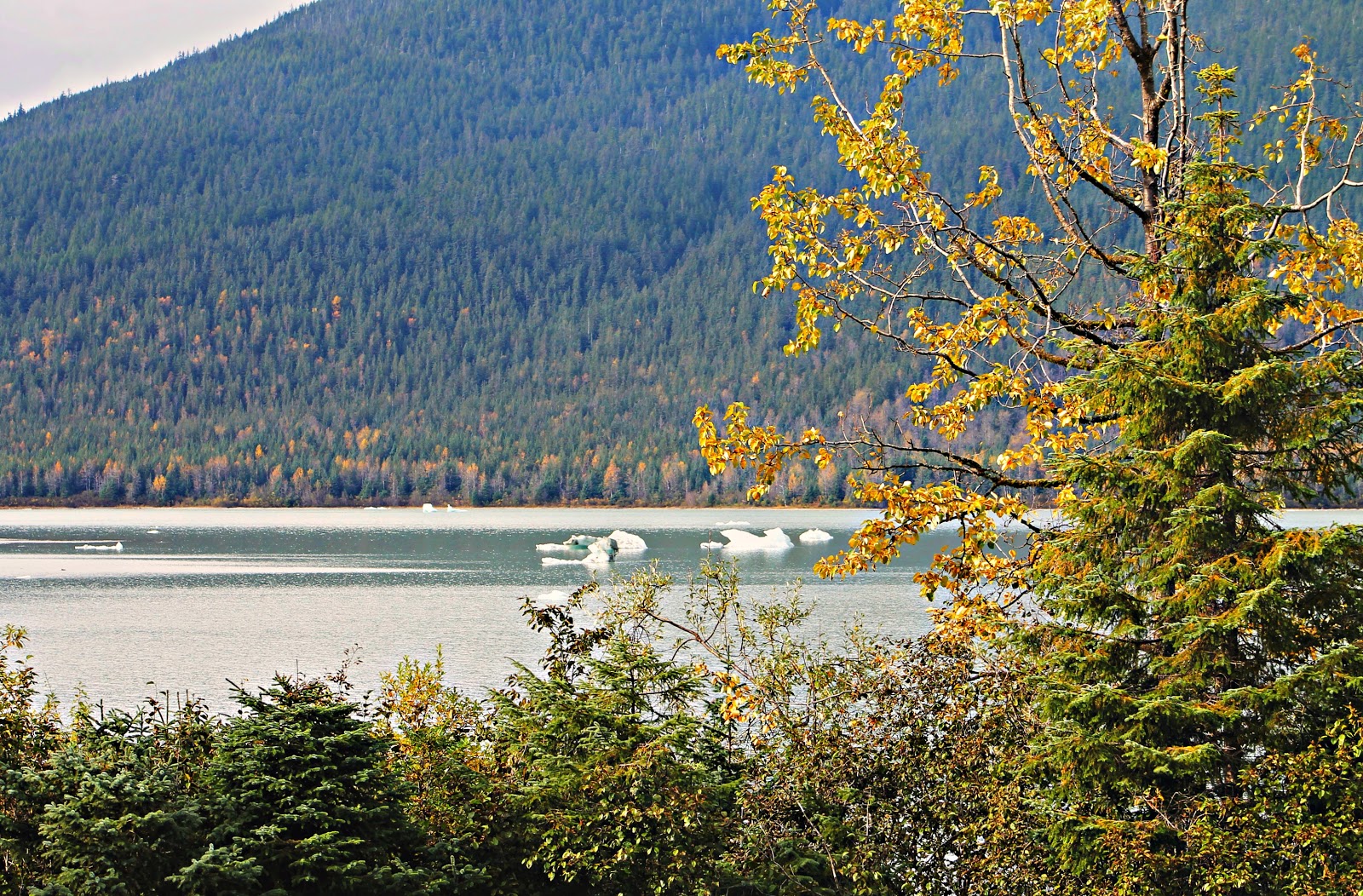 Sandra's Alaska Photography Early October 2012 Incredible Autumn in