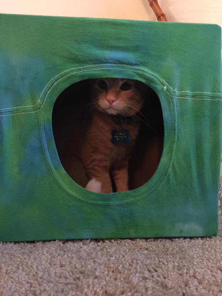 Cara Membuat Tempat Tidur Kucing Dari Baju Bekas Sebuah