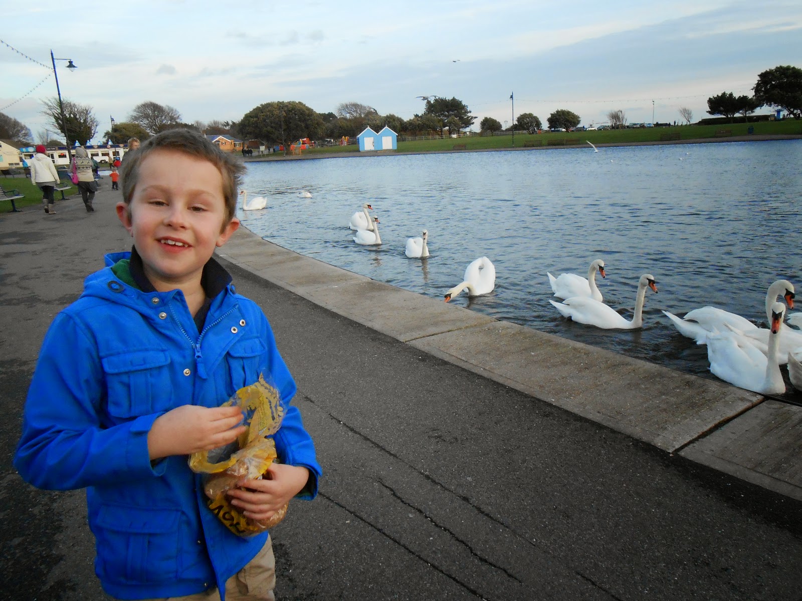 boy in the blue coat laughing at swans