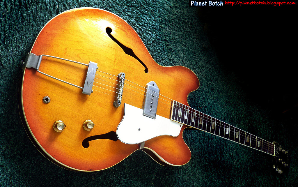 Why SemiAcoustic Guitars Rock Botch