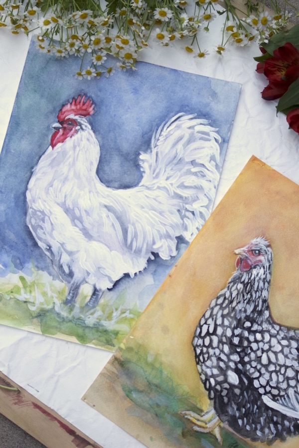 Chicken Paintings- www.gildedbloom.com Chicken Paintings- www.gildedbloom.com