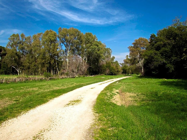 Al posto di questa stradina immersa nel verde, c'era un tempo il canale d'imbocco alla darsena