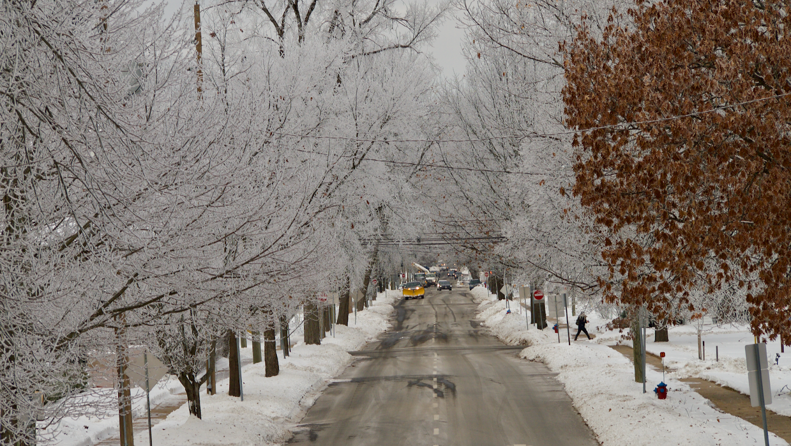 Frozen Fog In Fredericton A Rare Sight Adi's Blog