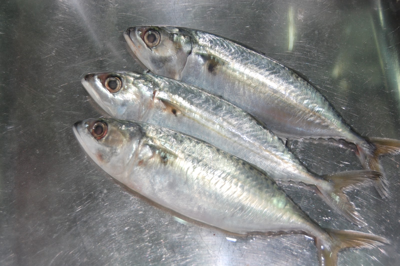 My story: resepi ikan kembung sumbat sambal belacan
