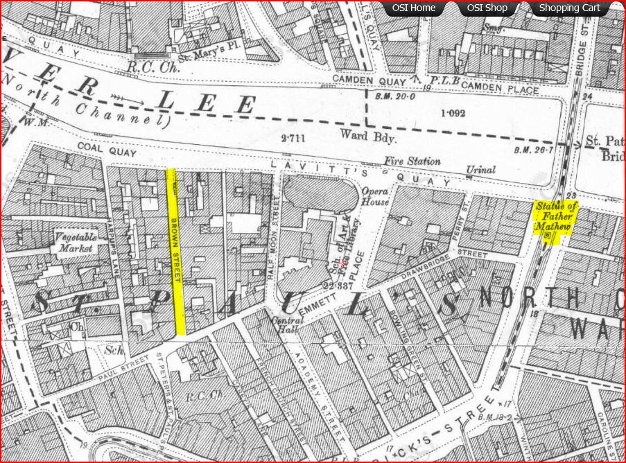 In Progress Brown Street, Cork