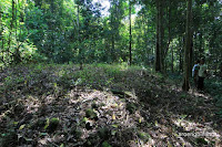 makam raja balok