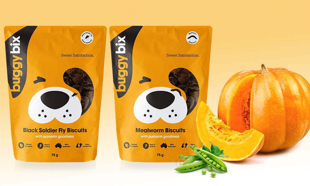 Buggy Bix new insectbased Dog Treats Australian Dog Lover