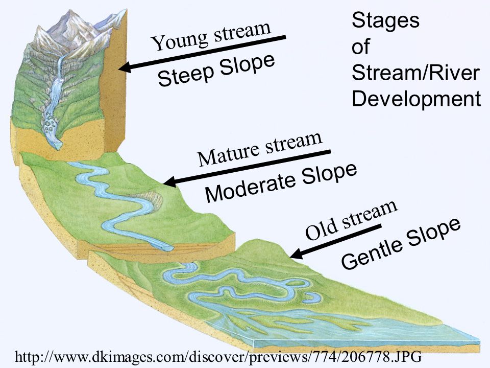 River Stages Diagram