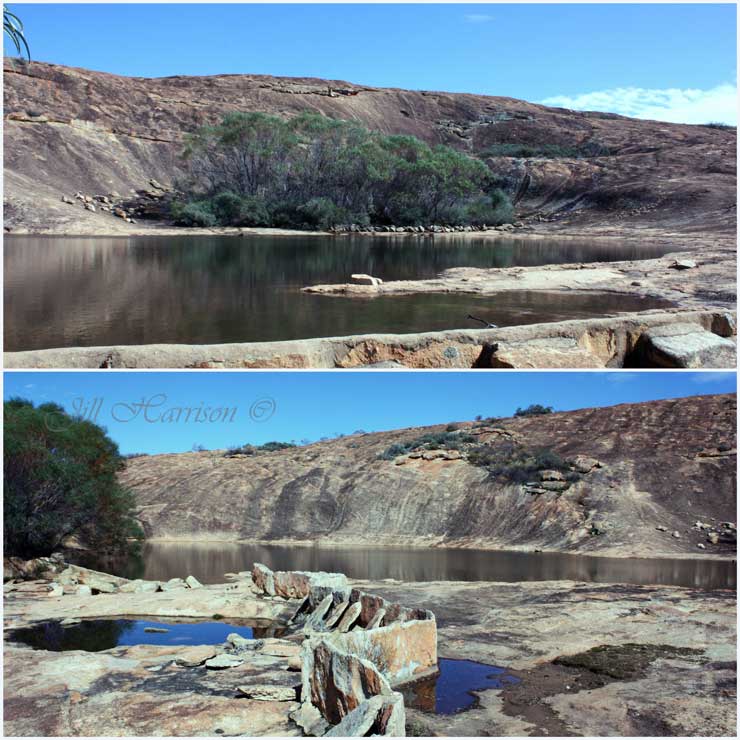 Life Images by Jill Cave Hill, Burra Rock and the Woodlines, Western