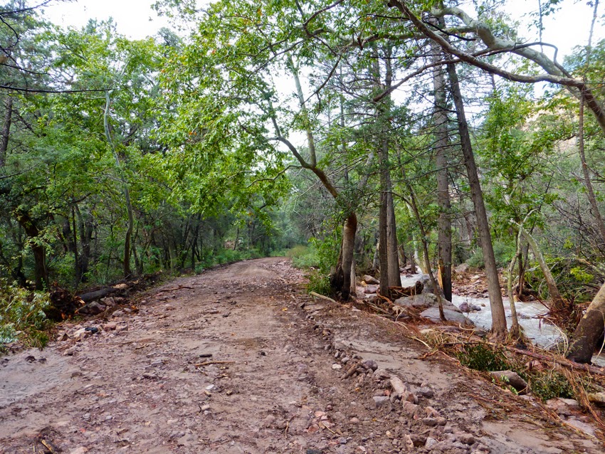 Art and Other Adventures with Narca Last Day in Cave Creek Canyon