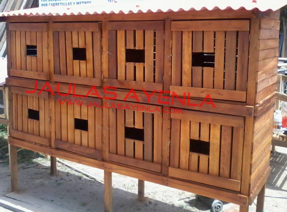 Jaulas Ayenla Casas de Mascotas JAULA DE GALLOS DE PELEA DISEÑOS
