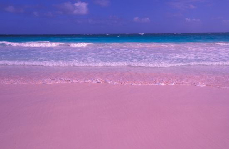 Pink Sand Beach Harbor Island Bahamas The Best Beaches In World Be A Secret Pink Sands Beach