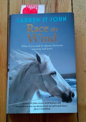 Race the Wind by Lauren St John