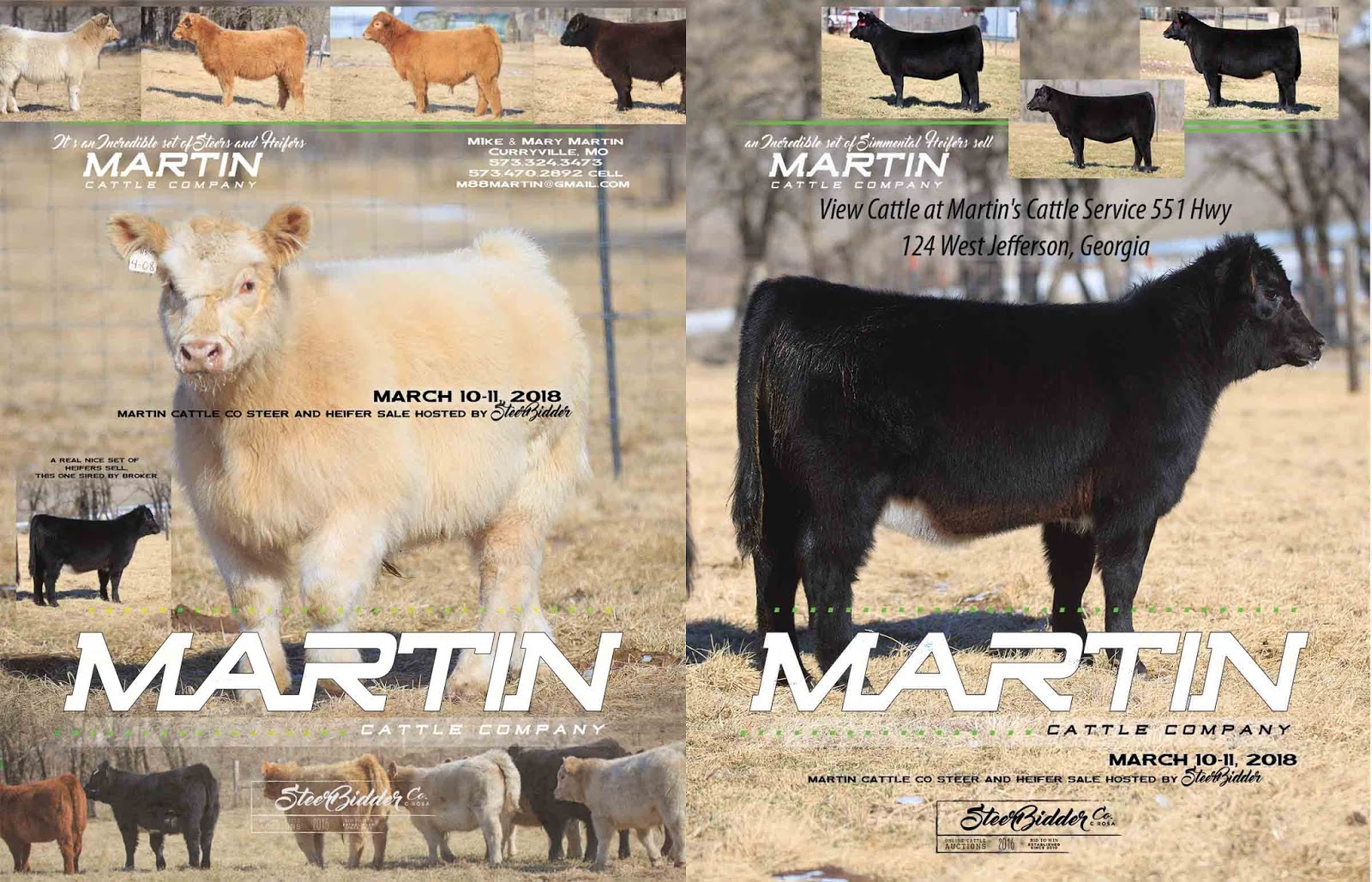 RCC Blog Martin Cattle Company