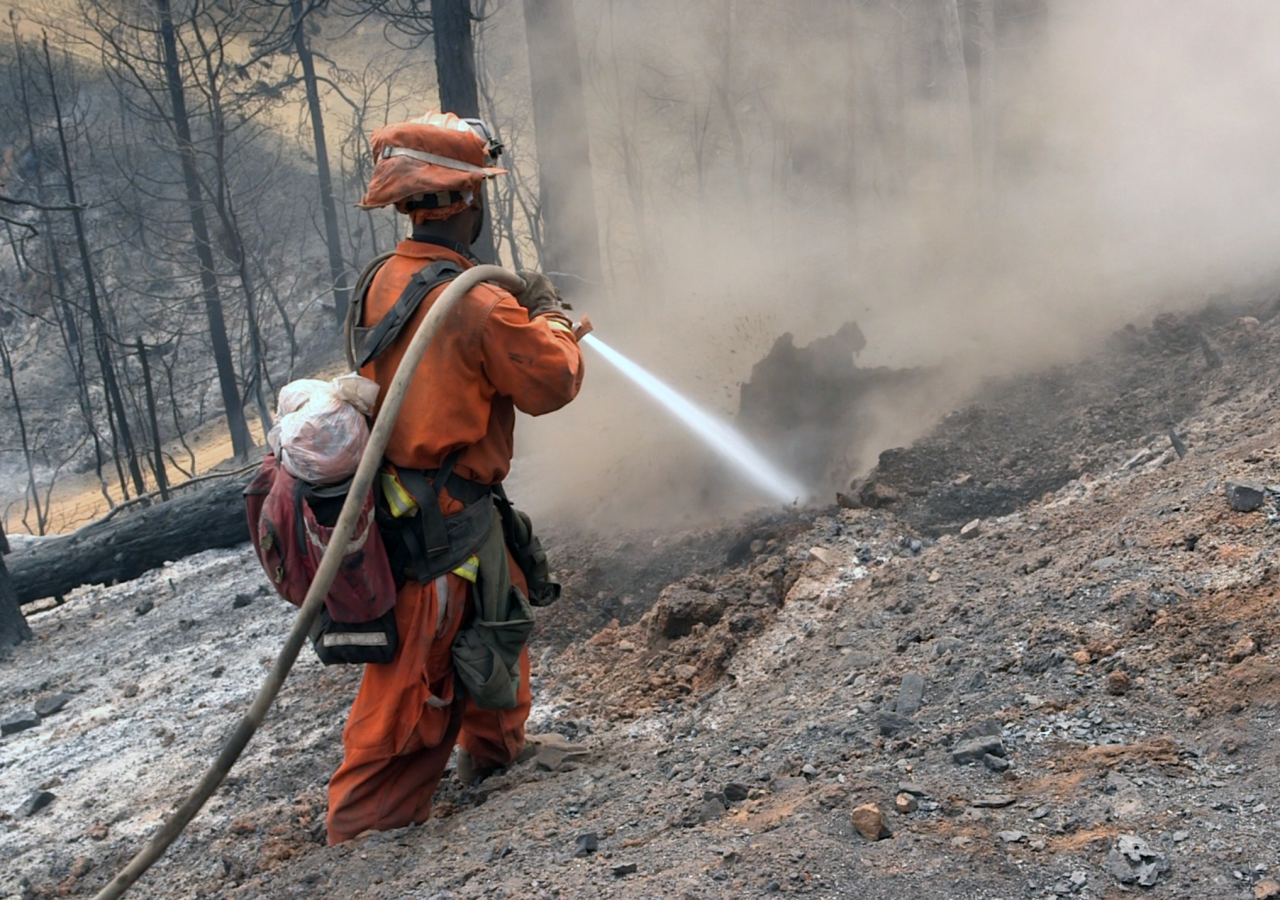 MEC&F Expert Engineers Cal/OSHA investigates the gruesome death of