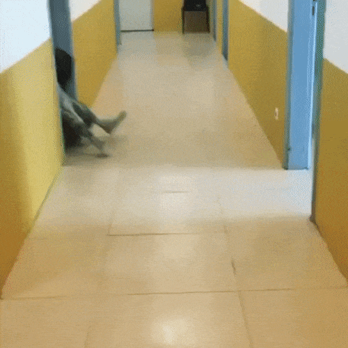 daily_gifdump_1513_14.gif