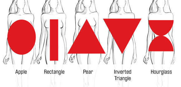 basic body shapes