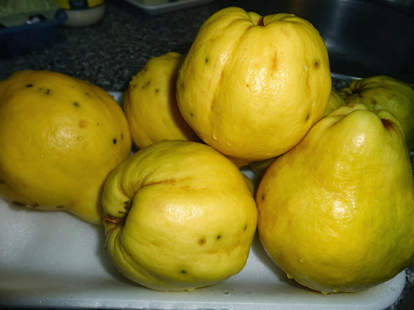 MEMBRILLOS LIMPIOS PARA HACER DULCE DE MEMBRILLO