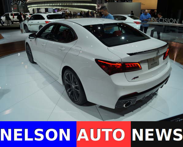 Nelson Auto News
