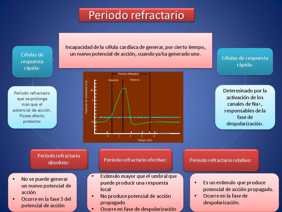 Periodo refractario
