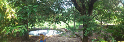 Tempat wiasta favorit anda " Sendang Beji " Penasaran.....?