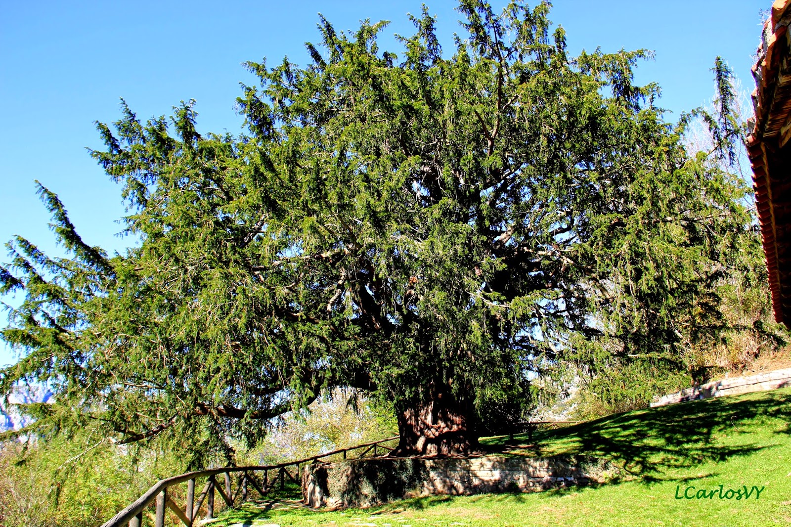 Escarbando por los Rincones de Asturias: El texu de Bermiego