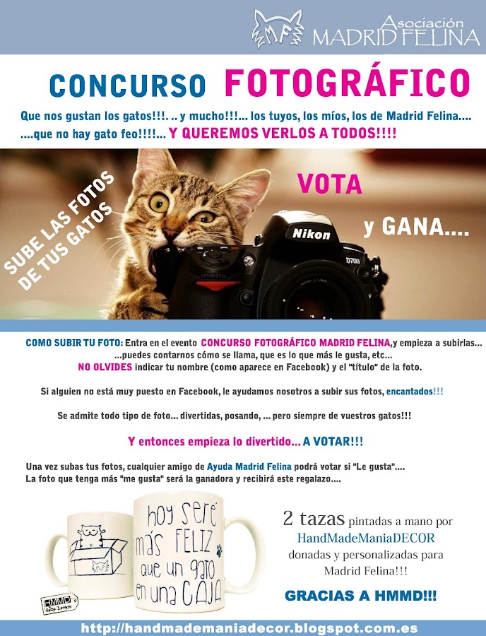 Colaboración HMMD - Madrid Felina. Concurso fotográfico. Concurso tazas con mensaje Hoy seré más feliz que un gato en una caja by HandMadeManiaDecor. Recaudación fondos asociación. Teaming 1?. 