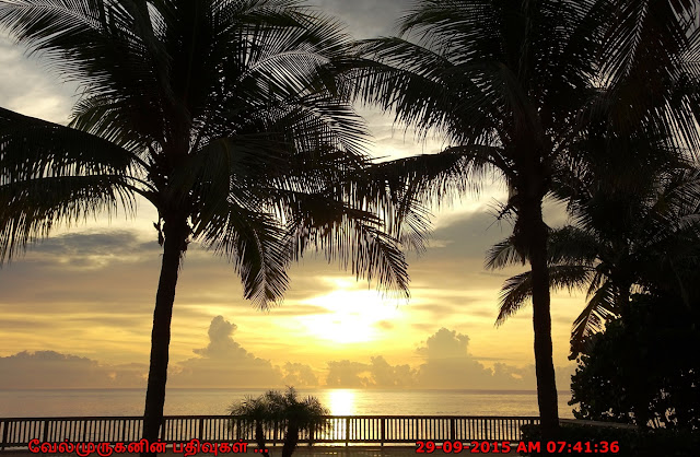 Beautiful East Coast Beaches Florida