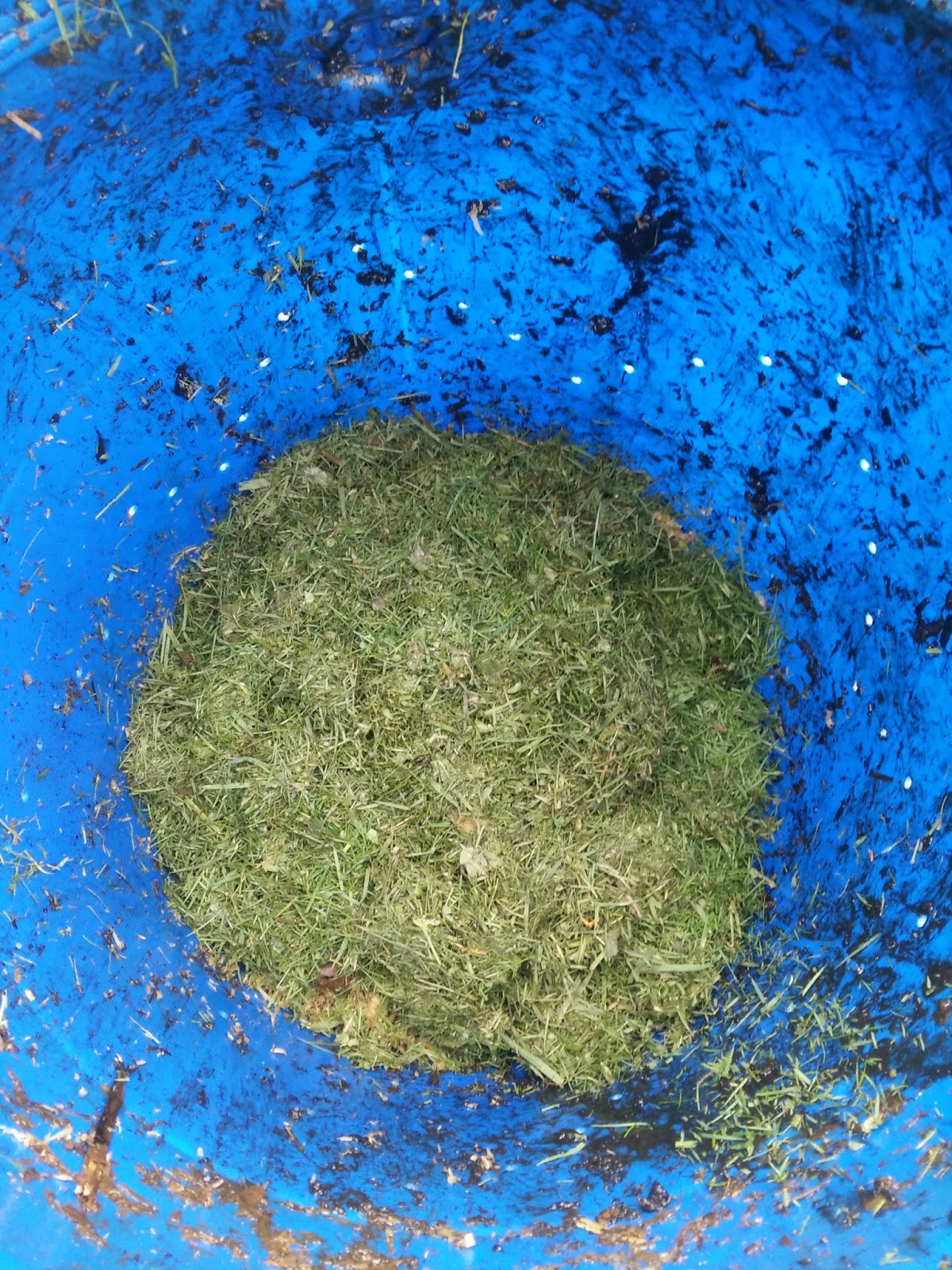 homemade rat proof compost bin that cost nothing