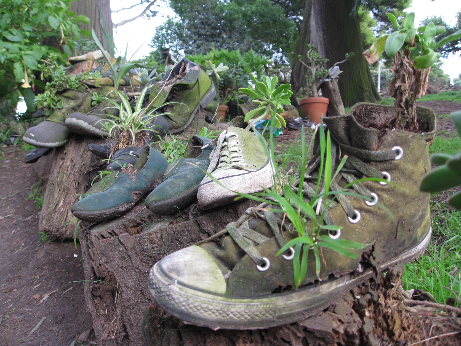 sleeping with my eyes open Quintessential San Francisco