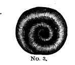 Hair in a coil from "Self-Instructor in the Art of Hair Work" by Mark Campbell, 1867, Hair in a coil from "Self-Instructor in the Art of Hair Work" by Mark Campbell, 1867,