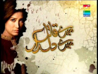 Hum TV Drama Meray Qatil Meray Dildar Latest Episode