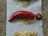 Tips dan Cara Membuat Benih Cabe Rawit dan Cabe Merah Berkualitas Tips dan Cara Membuat Benih Cabe Rawit dan Cabe Merah Berkualitas