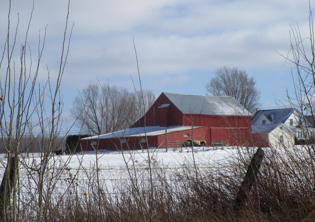Windswept Adventure Garvin Road, Brushton New York Part 2