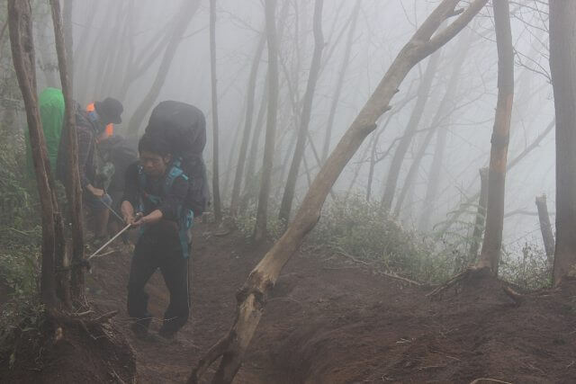 jalur pendakian merbabu via suwanting foto jalur pendakian merbabu via suwanting