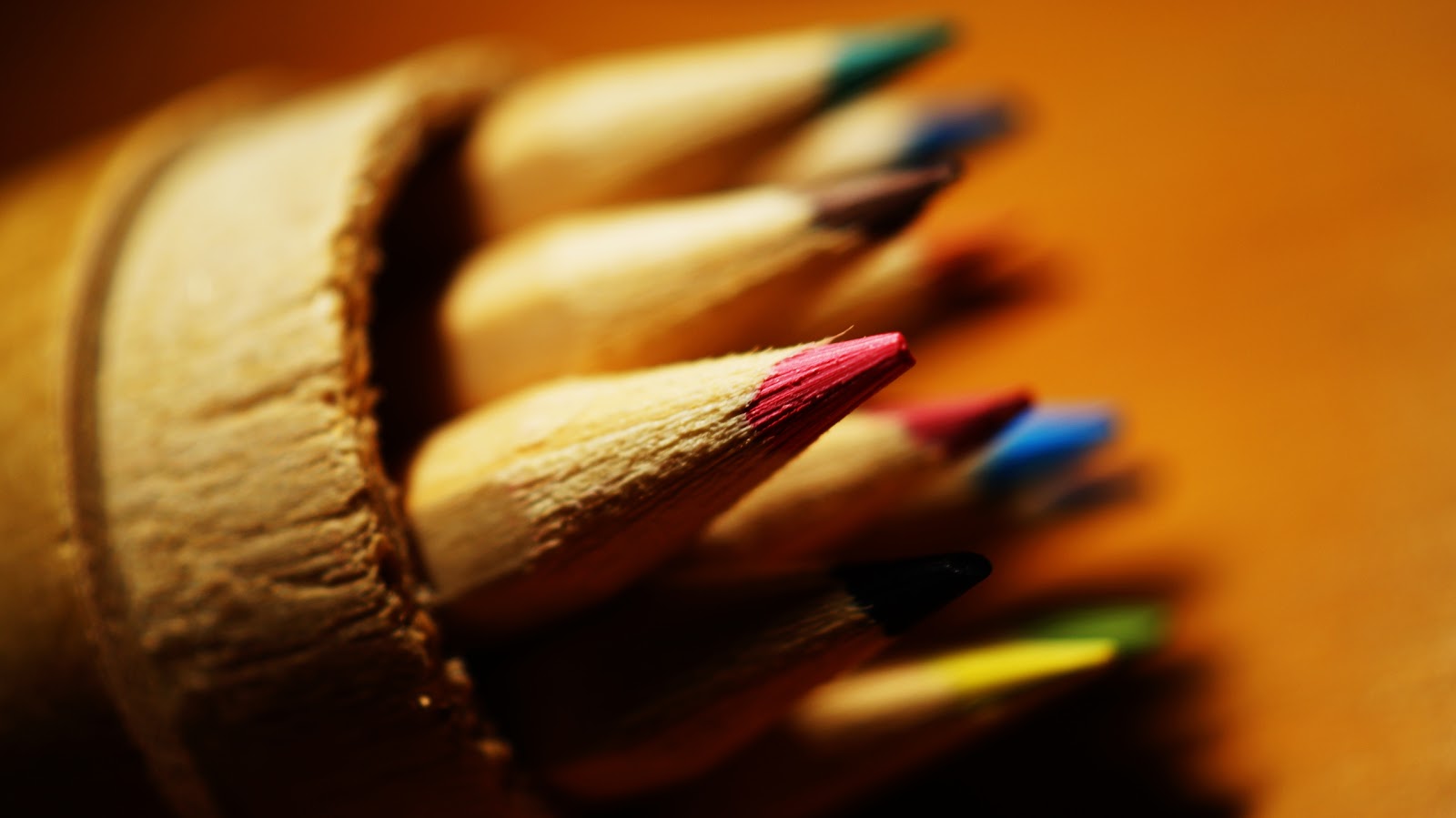 Close Up Color Pencils