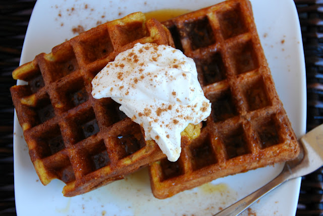 overhead closeup of two pumpkin waffles with whipped cream on top on a white plate 