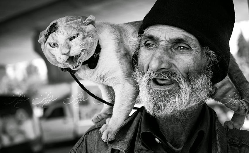 старик и кот. старик и кот. старик и кот. одинокий старик. дедушка кот.