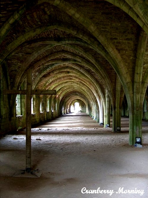 Cranberry Morning Fountains Abbey, North Yorkshire