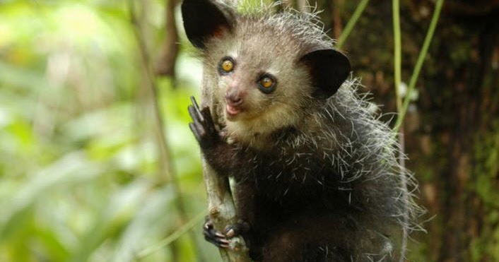 Сервисный центр ай ай ай. Сервисный центр ай ай ай. Сервисный центр ай ай ай. Сервисный центр ай ай ай. Логотип для магазина компьютеров.