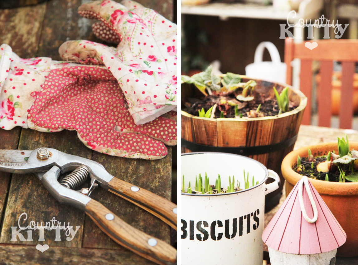 Between Winter and Spring part 2 The awakening