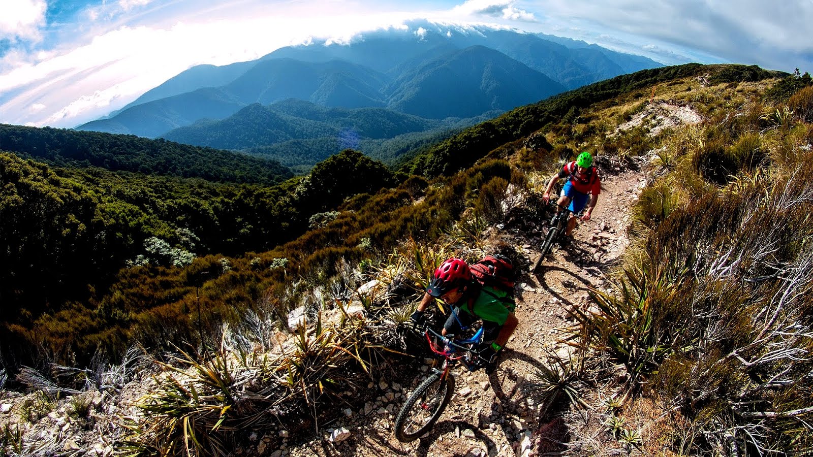 Cycling in New Zealand Bike Bikes Choices
