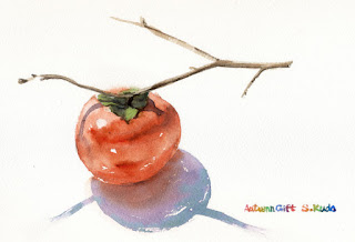 柿　水彩画　Persimmon　Watercolor
