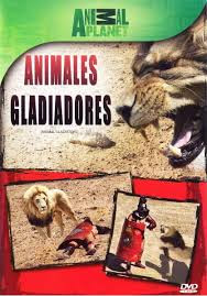 Animales Gladiadores – DVDRIP LATINO