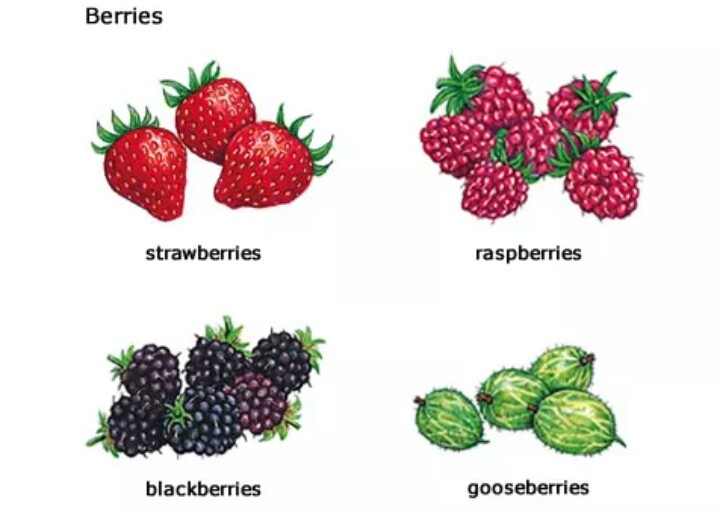 клубника фон. стихотворение про клубнику. фрукты и овощи на немецком языке. земляника на немецком языке. ягоды перечисление.